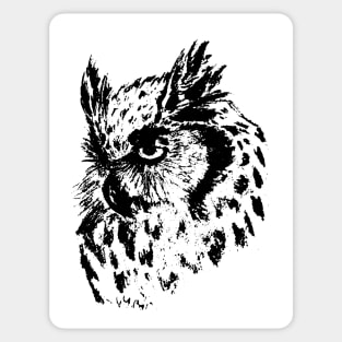 Owl Sticker